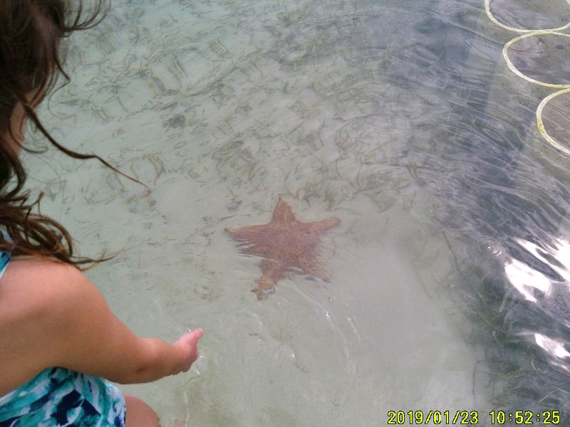 Starfish Point