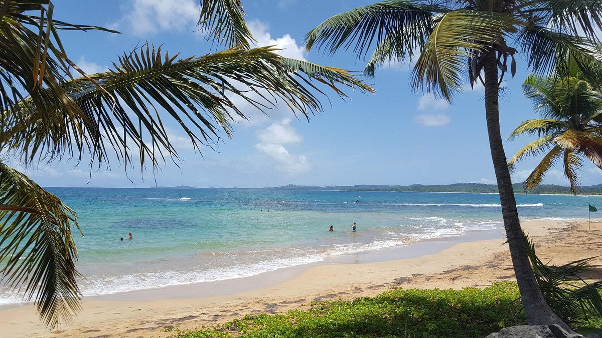 Condado Beach & Ashford walk