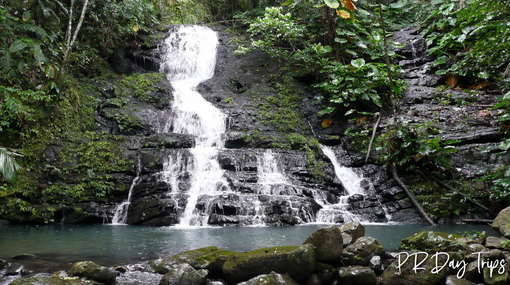 El Yunque National Forest